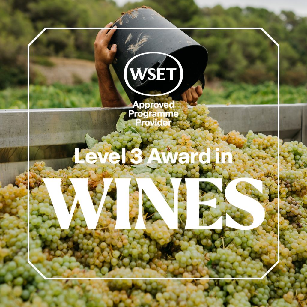 Wineserver WSET Level 3 Award in Wines