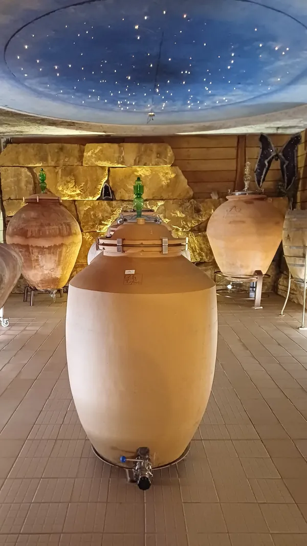 Champagne Augustin amforat